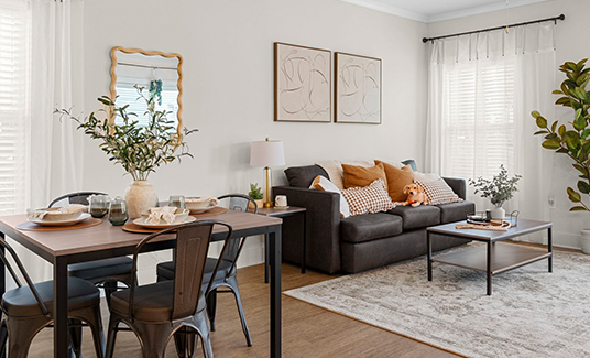 living room